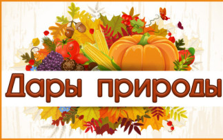 Дары природы. Дары природы.